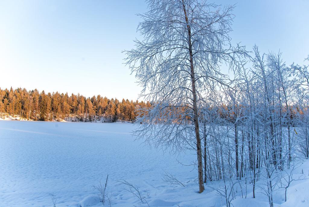 Gerika 1 Villa Enonkoski ภายนอก รูปภาพ